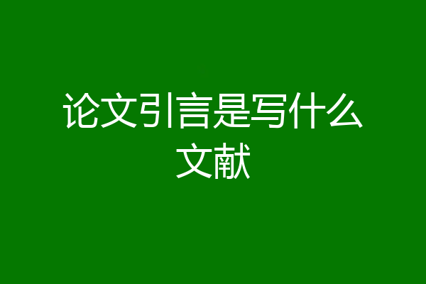 论文引言是写什么文献