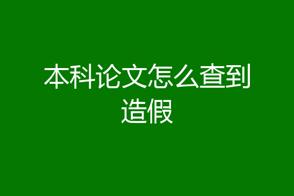 本科论文怎么查到造假