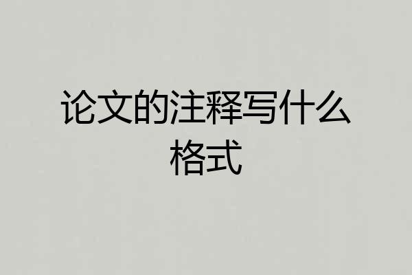 论文的注释写什么格式