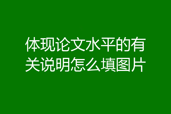 体现论文水平的有关说明怎么填图片