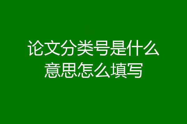 论文分类号是什么意思怎么填写