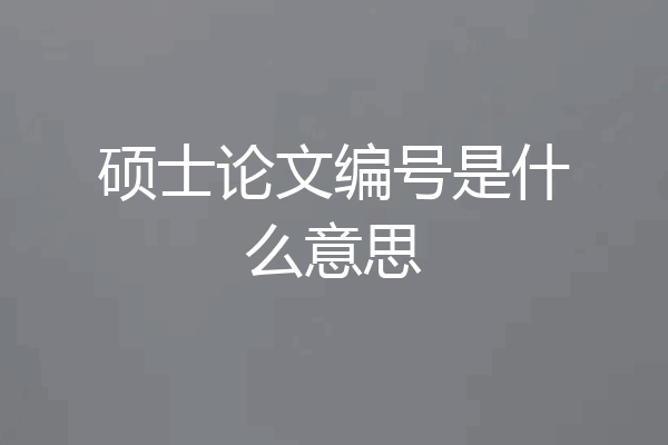 硕士论文编号是什么意思