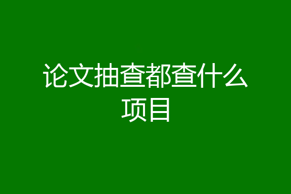 论文抽查都查什么项目