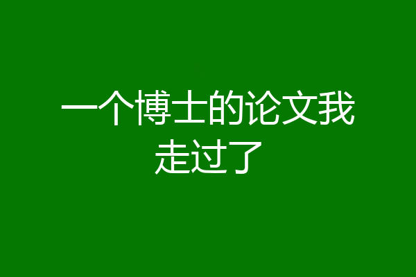 一个博士的论文我走过了