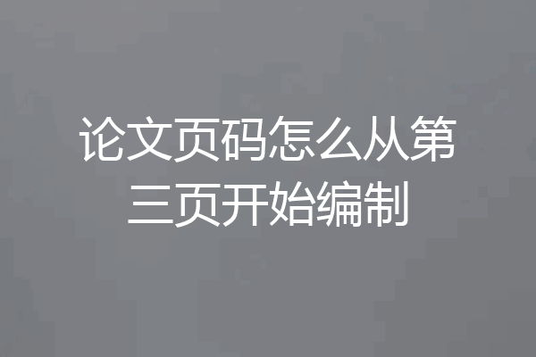 论文页码怎么从第三页开始编制