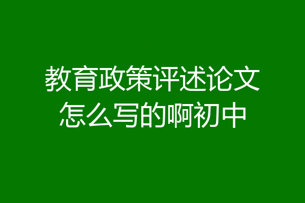 教育政策评述论文怎么写的啊初中