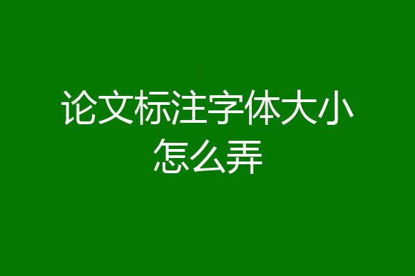 论文标注字体大小怎么弄