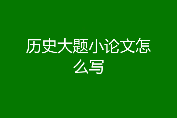历史大题小论文怎么写