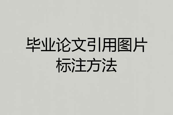 毕业论文引用图片标注方法
