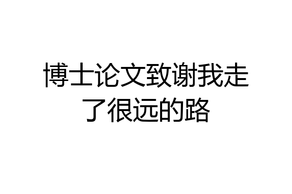博士论文致谢我走了很远的路