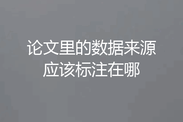 论文里的数据来源应该标注在哪