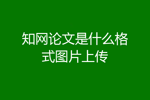 知网论文是什么格式图片上传