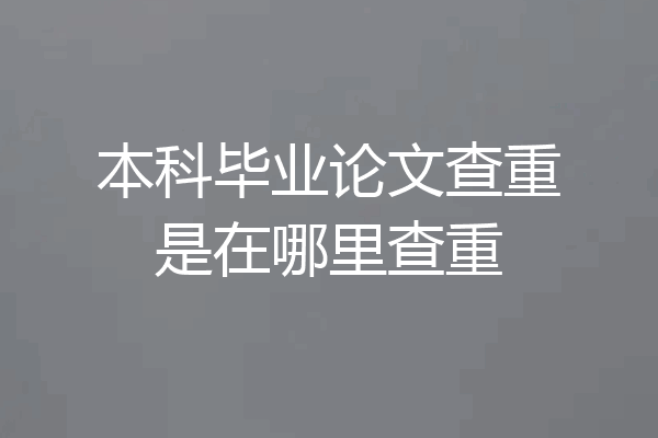 本科毕业论文查重是在哪里查重