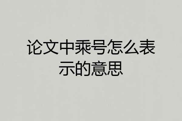 论文中乘号怎么表示的意思
