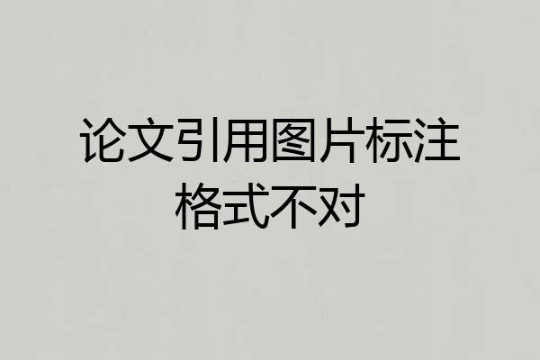 论文引用图片标注格式不对