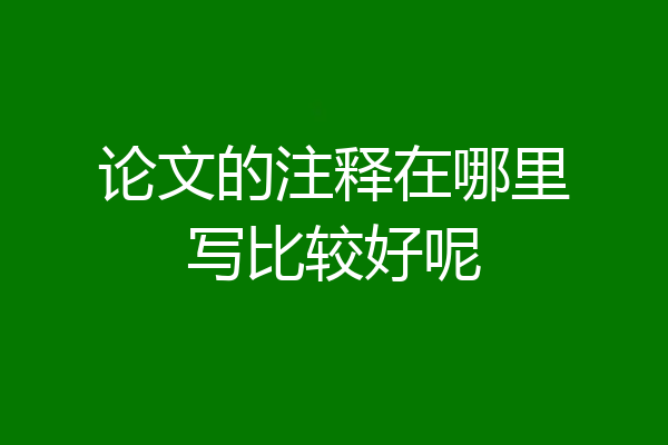 论文的注释在哪里写比较好呢