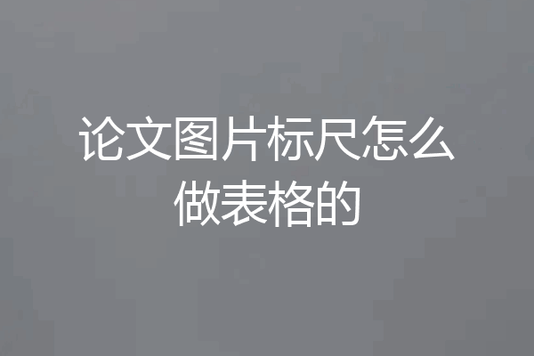 论文图片标尺怎么做表格的