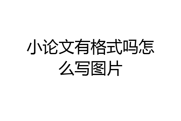 小论文有格式吗怎么写图片