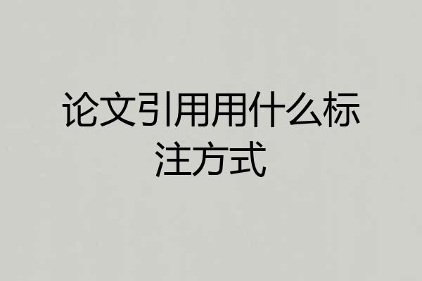 论文引用用什么标注方式