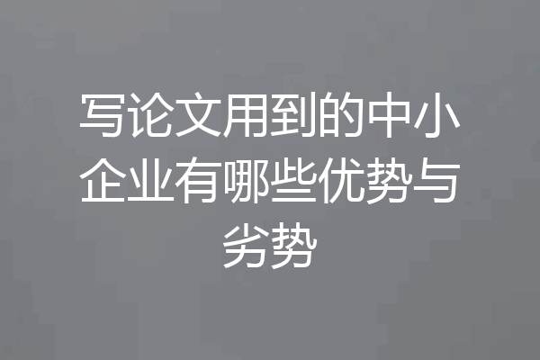 写论文用到的中小企业有哪些优势与劣势