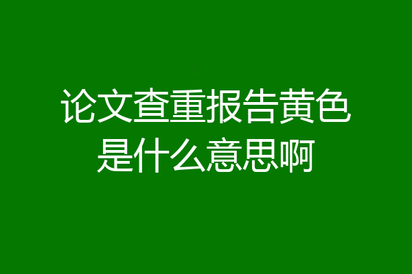 论文查重报告黄色是什么意思啊