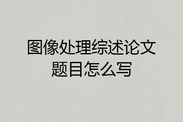 图像处理综述论文题目怎么写