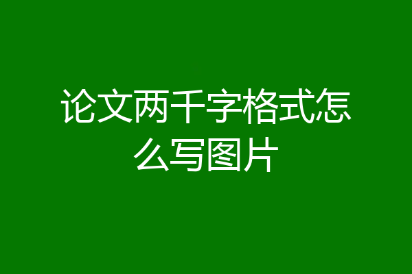 论文两千字格式怎么写图片
