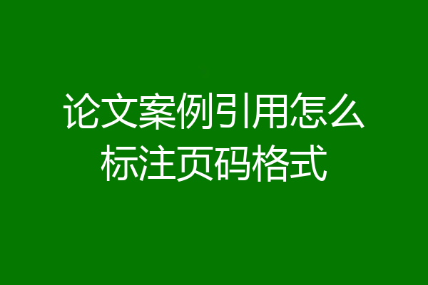 论文案例引用怎么标注页码格式