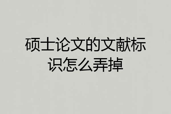 硕士论文的文献标识怎么弄掉
