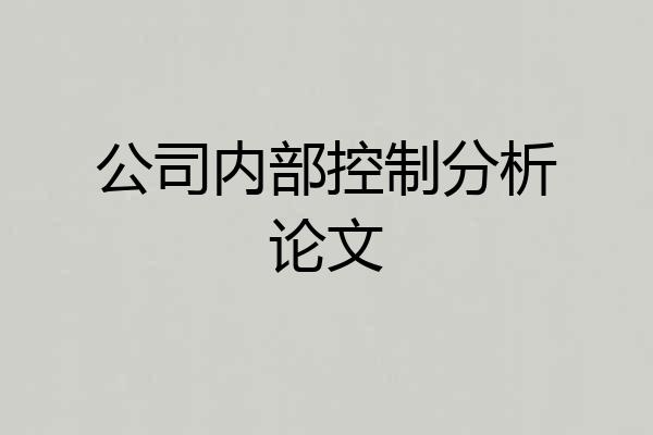 公司内部控制分析论文