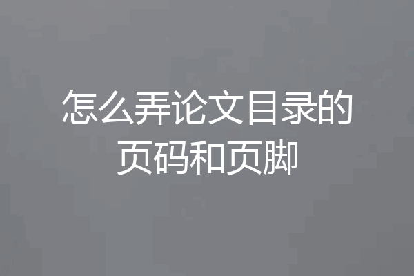 怎么弄论文目录的页码和页脚
