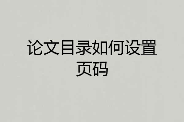 论文目录如何设置页码