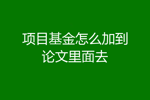 项目基金怎么加到论文里面去