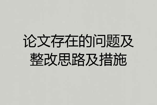 论文存在的问题及整改思路及措施