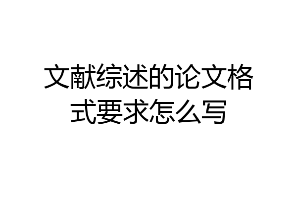 文献综述的论文格式要求怎么写