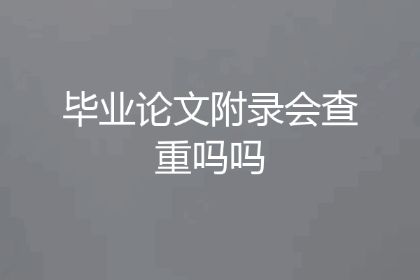 毕业论文附录会查重吗吗