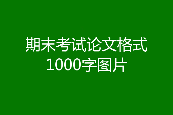 期末考试论文格式1000字图片