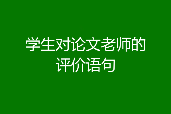 学生对论文老师的评价语句