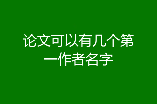 论文可以有几个第一作者名字