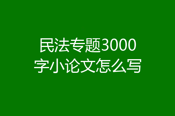 民法专题3000字小论文怎么写