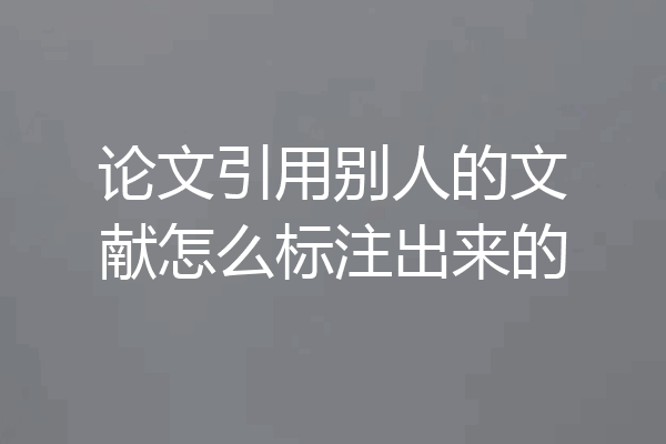 论文引用别人的文献怎么标注出来的