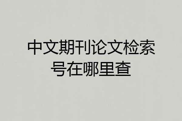中文期刊论文检索号在哪里查