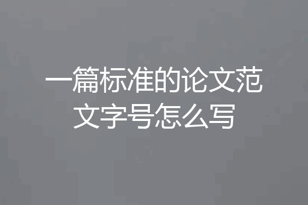 一篇标准的论文范文字号怎么写