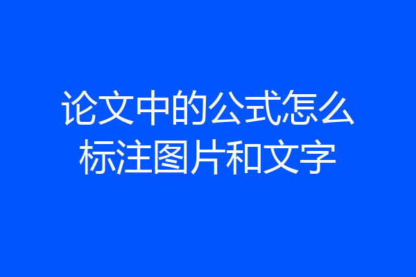 论文中的公式怎么标注图片和文字