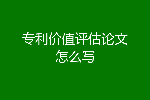 专利价值评估论文怎么写