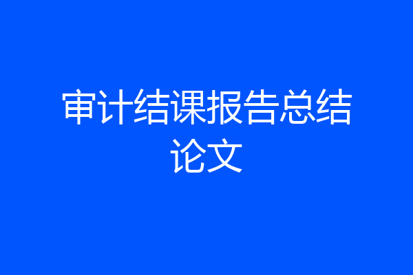 审计结课报告总结论文