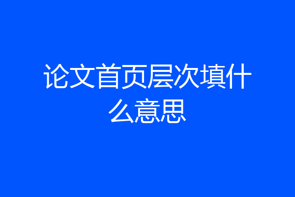 论文首页层次填什么意思