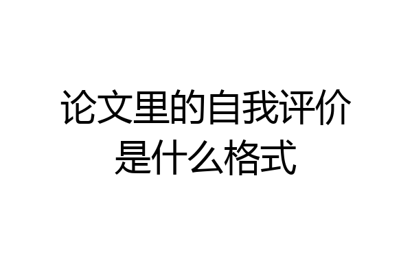 论文里的自我评价是什么格式