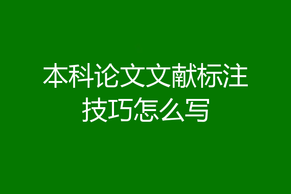 本科论文文献标注技巧怎么写
