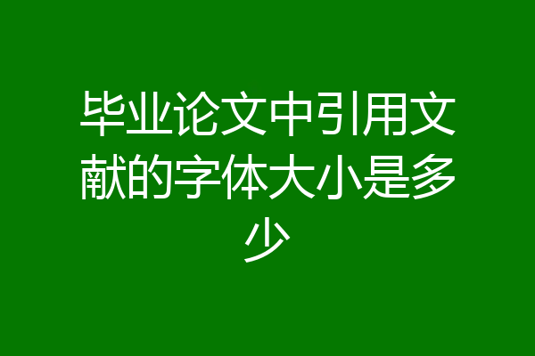 毕业论文中引用文献的字体大小是多少